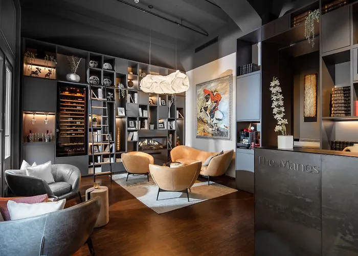 The Manes Boutique Hotel Prag